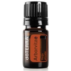 Arborvitae (Thuja plicata) - doTerra essential oil